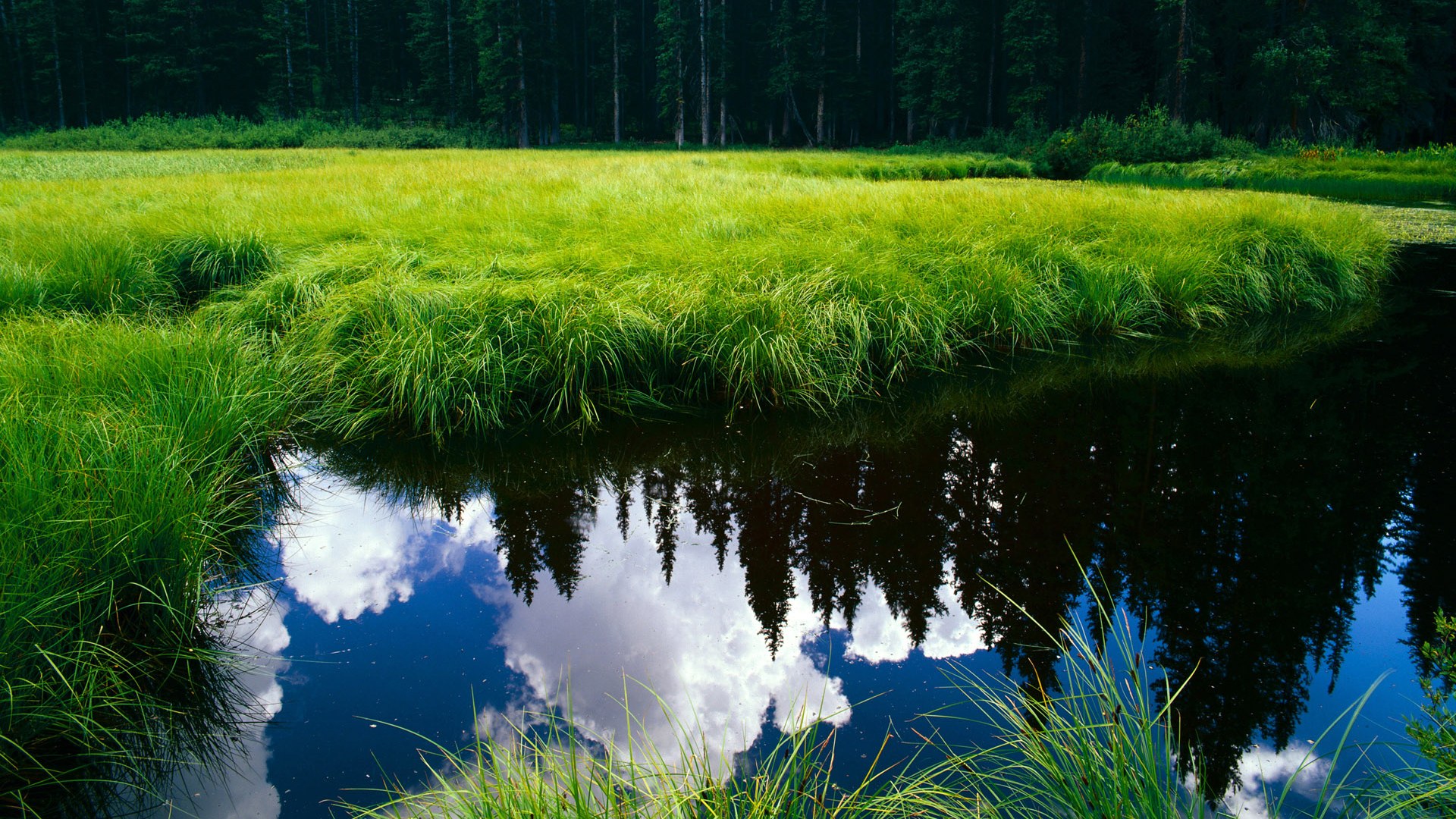 从利雅得到里斯本，一场欧冠决赛与一根跨越大陆的足球脊梁